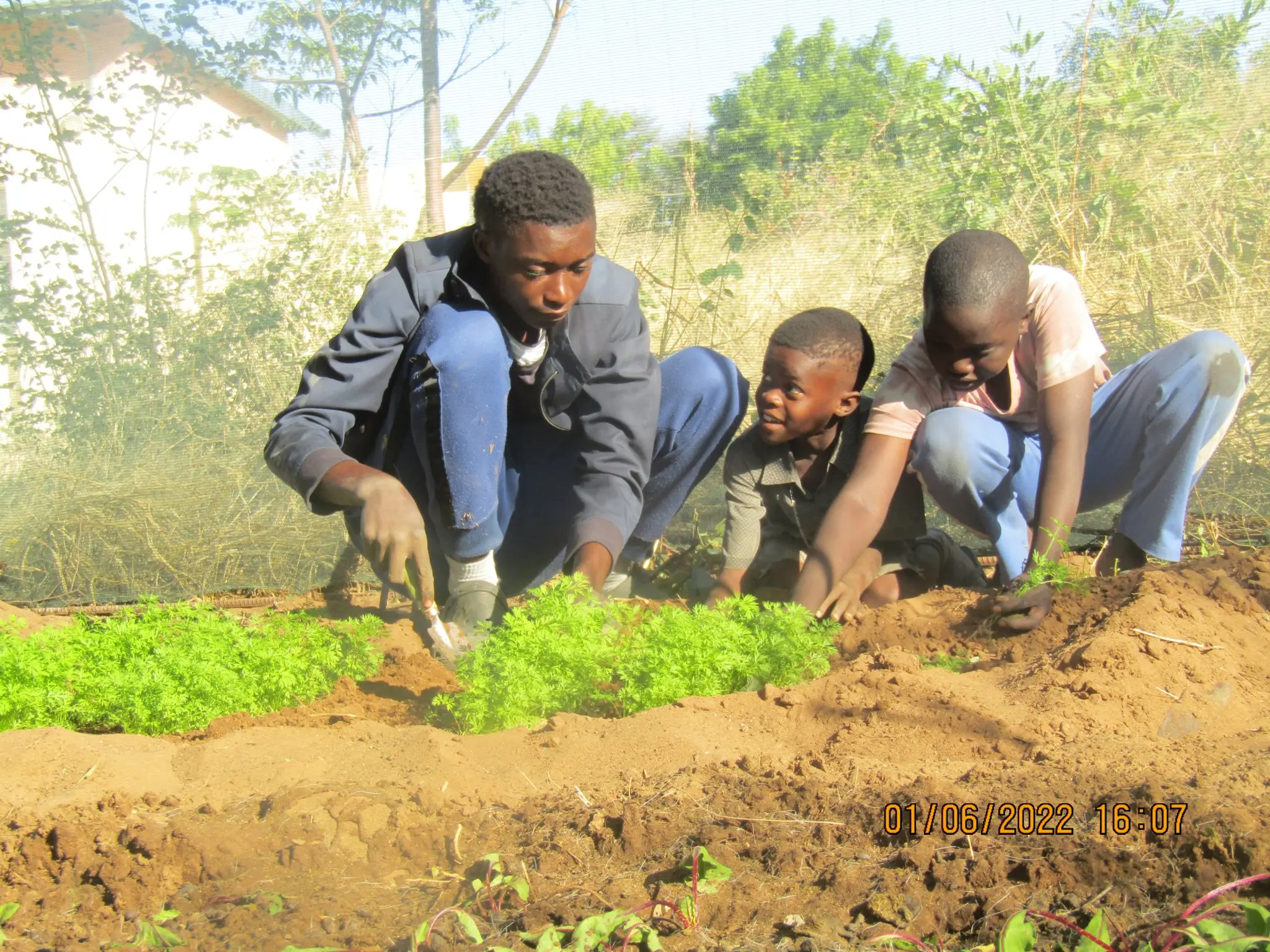 Gardening project at the Rundu Centre